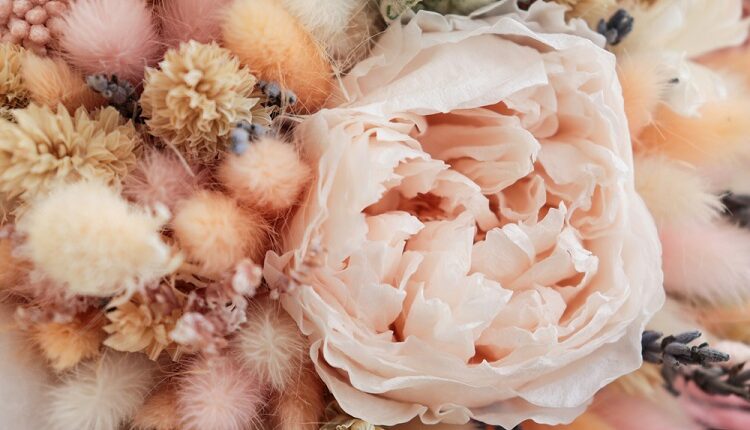 Preserved Flowers